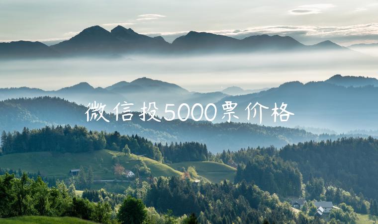 微信投5000票价格